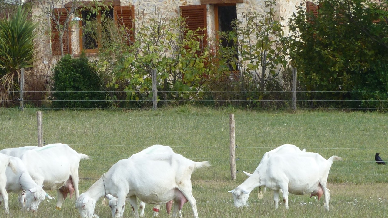 Photo of Outdoor in Villecroze