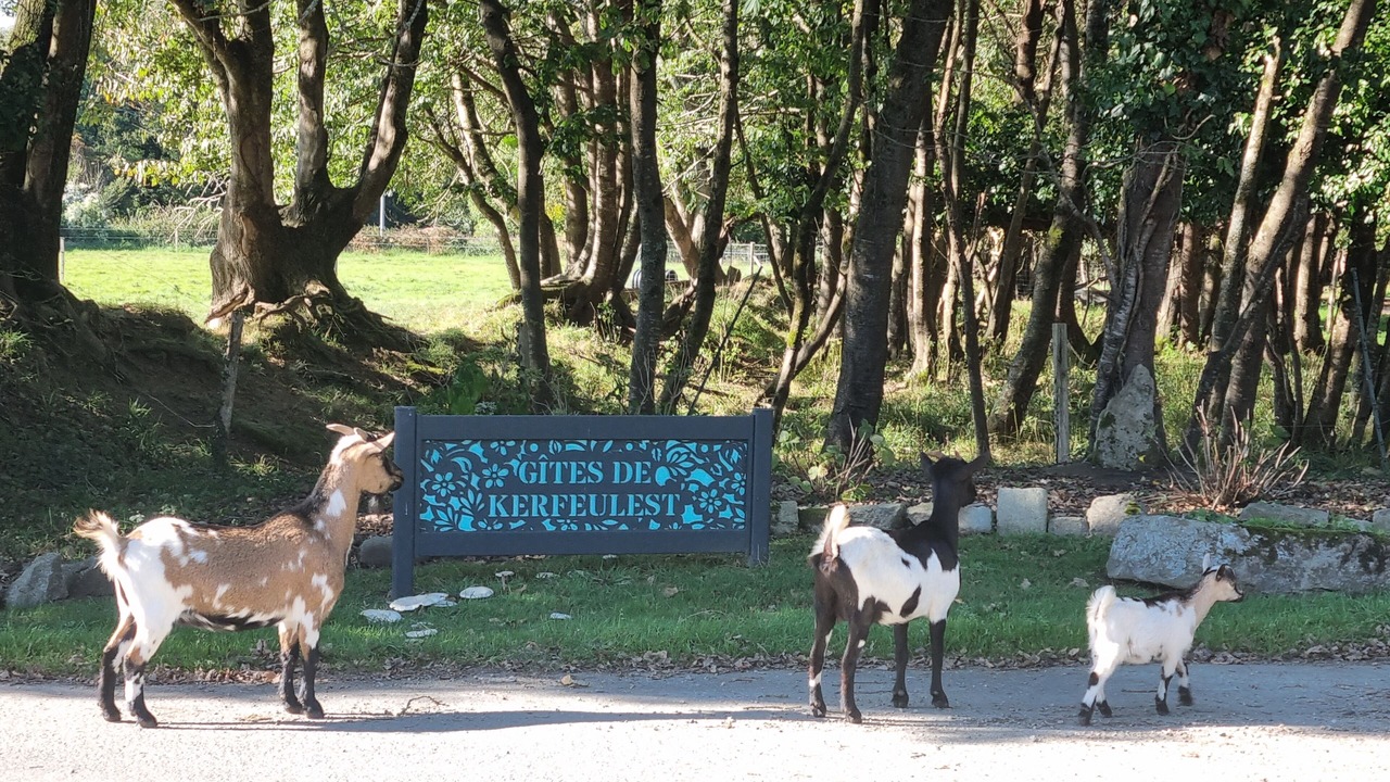 Photo of Outdoor in Ploneour-Lanvern