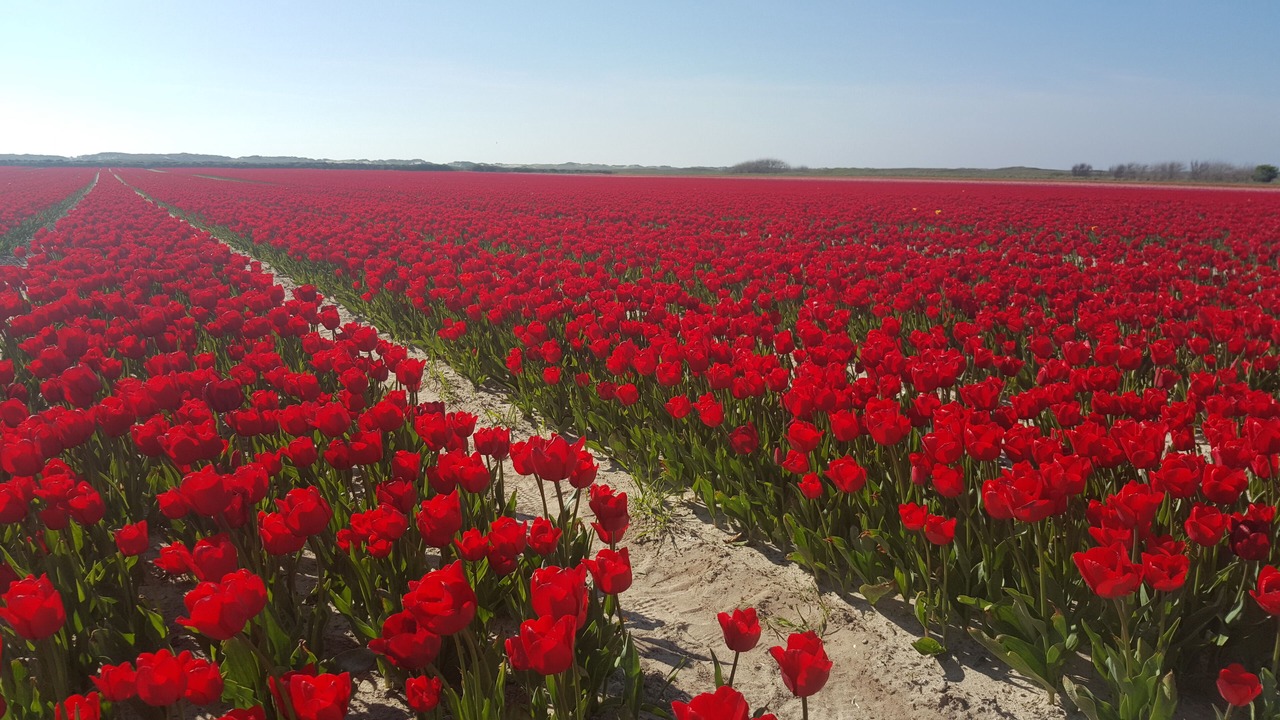 Photo of Others in Ploneour-Lanvern