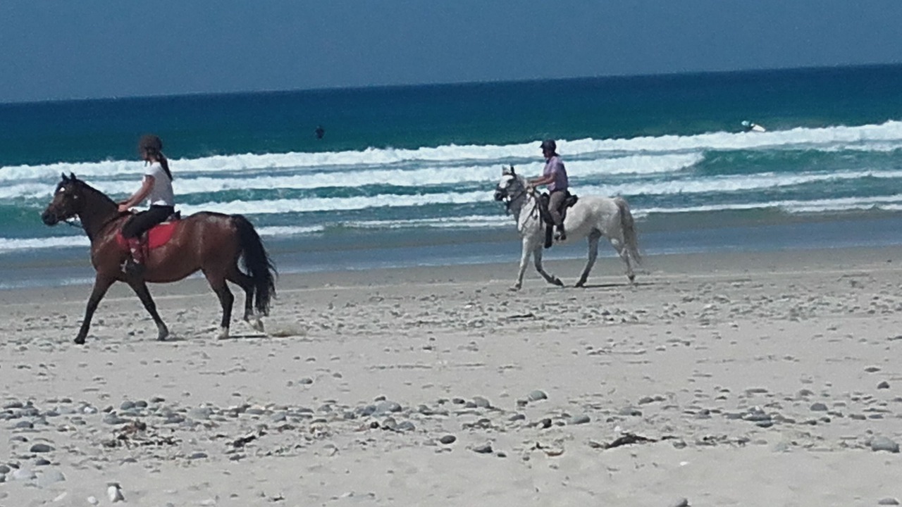 Photo of Others in Ploneour-Lanvern