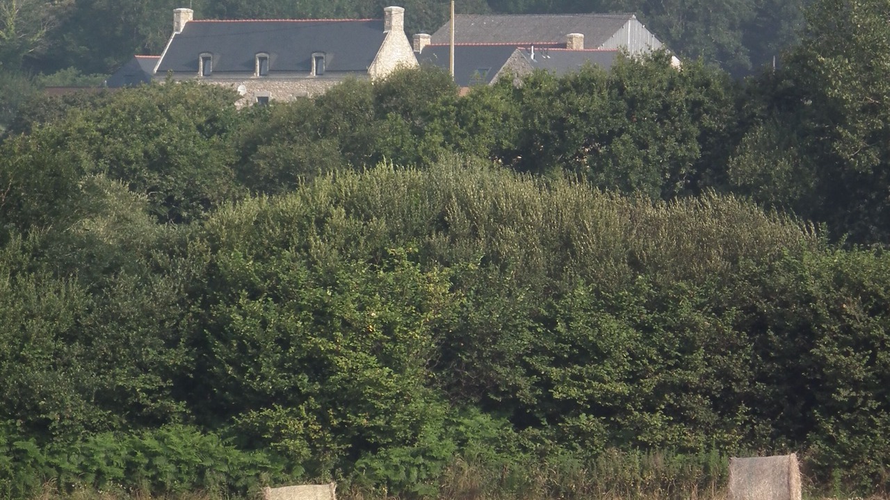 Photo of Others in Ploneour-Lanvern