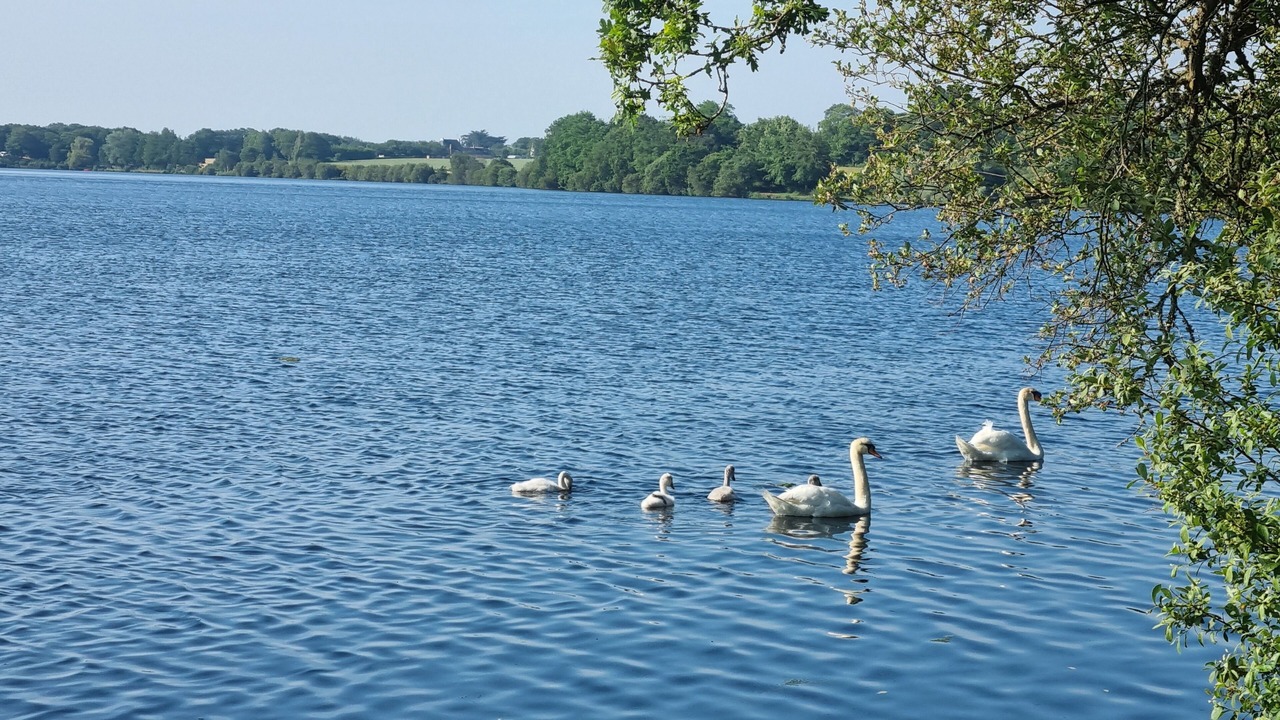 Photo of Outdoor in Ploneour-Lanvern