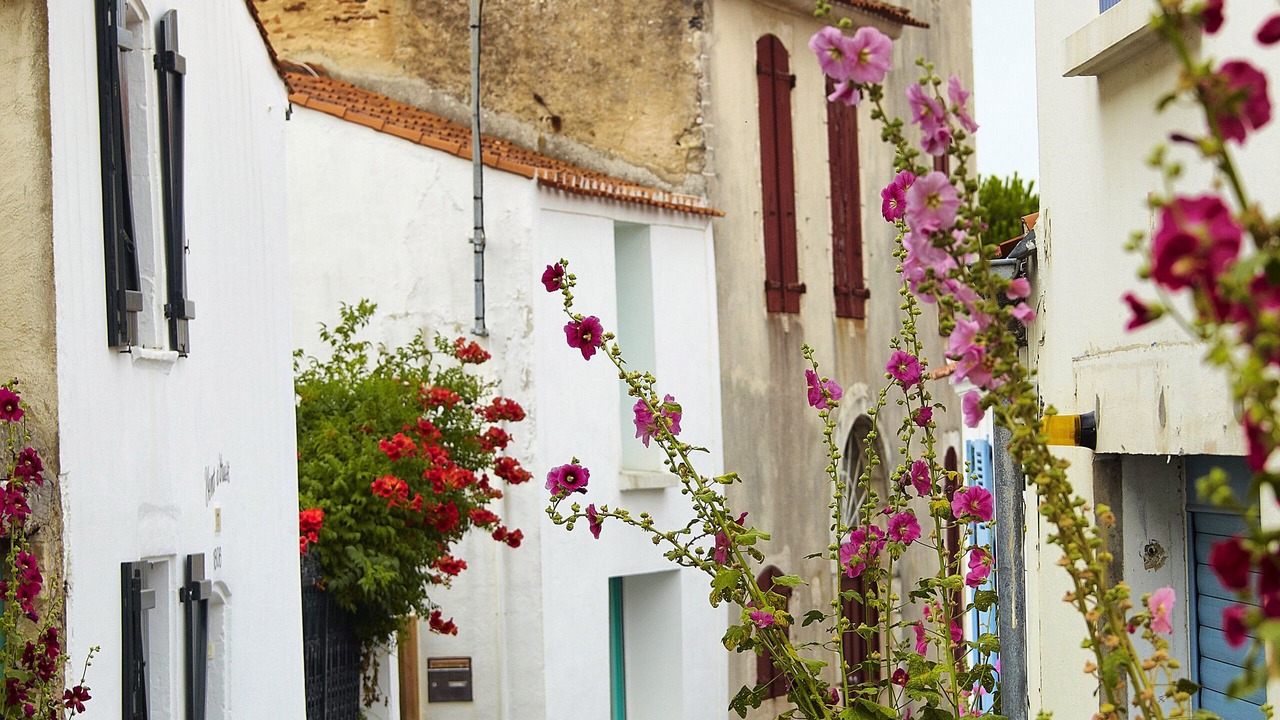 Photo of Outdoor in Saint-Gilles-Croix-de-Vie