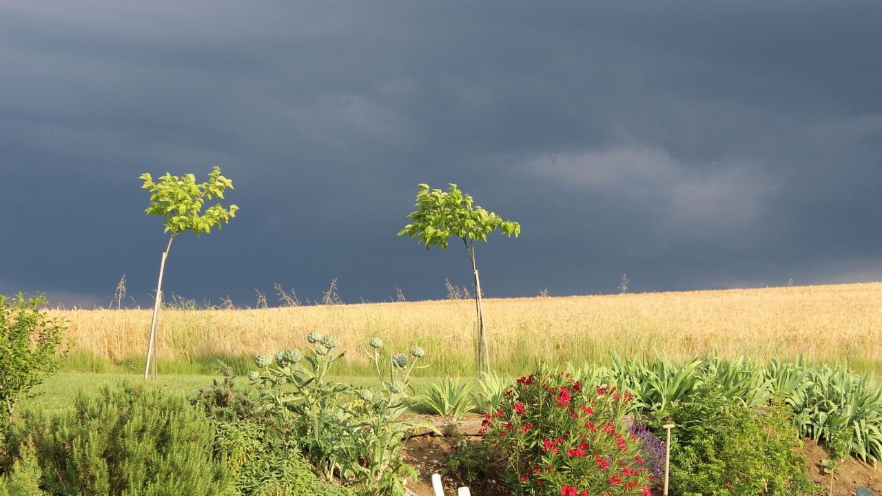 Photo of Outdoor in Puymiclan