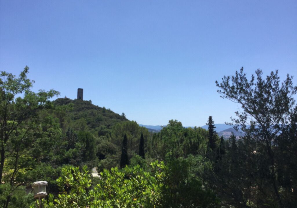 Photo of Outdoor in Taradeau