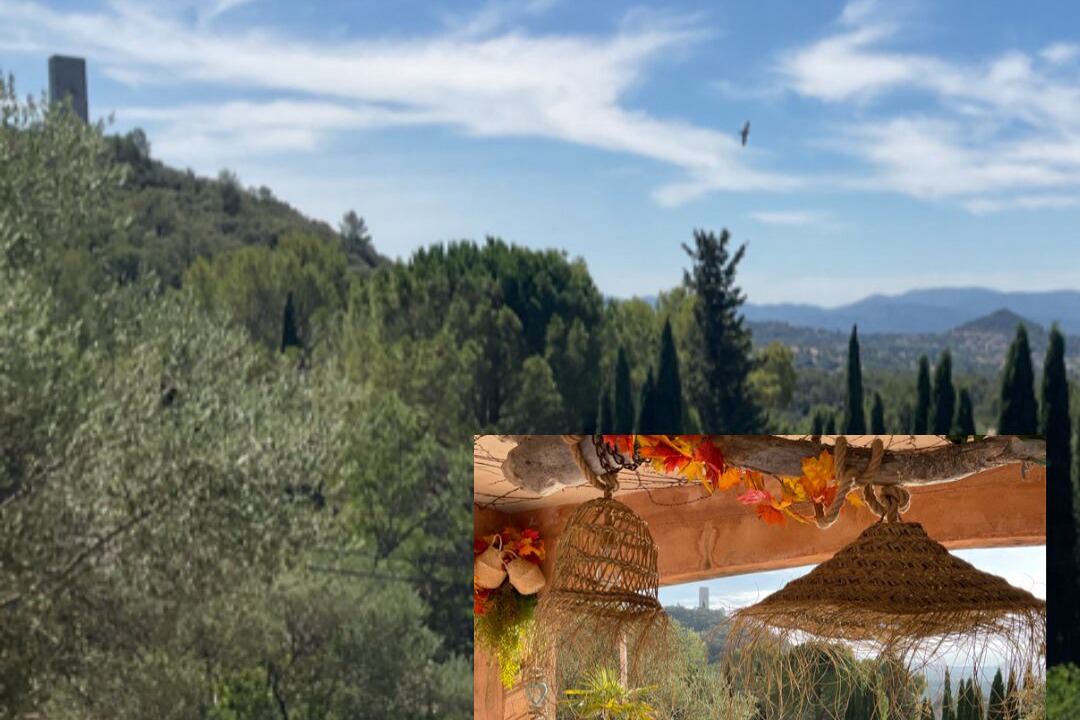 Photo of Outdoor in Taradeau