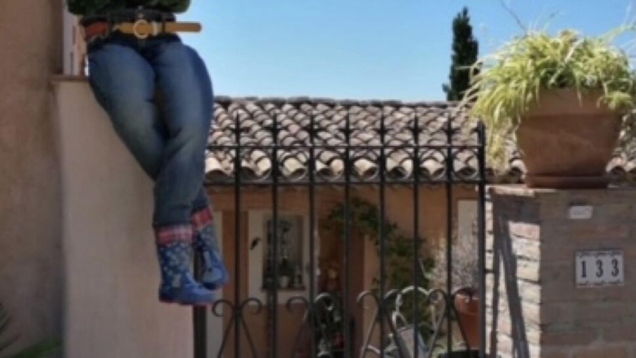 Photo of Outdoor in Taradeau