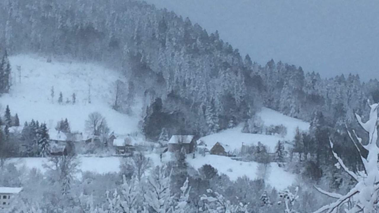 Photo of Outdoor in La Bourboule
