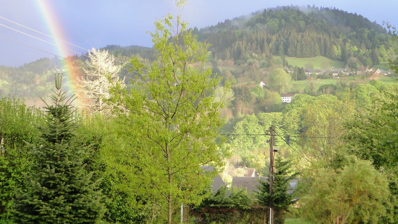 Photo of Outdoor in La Bourboule