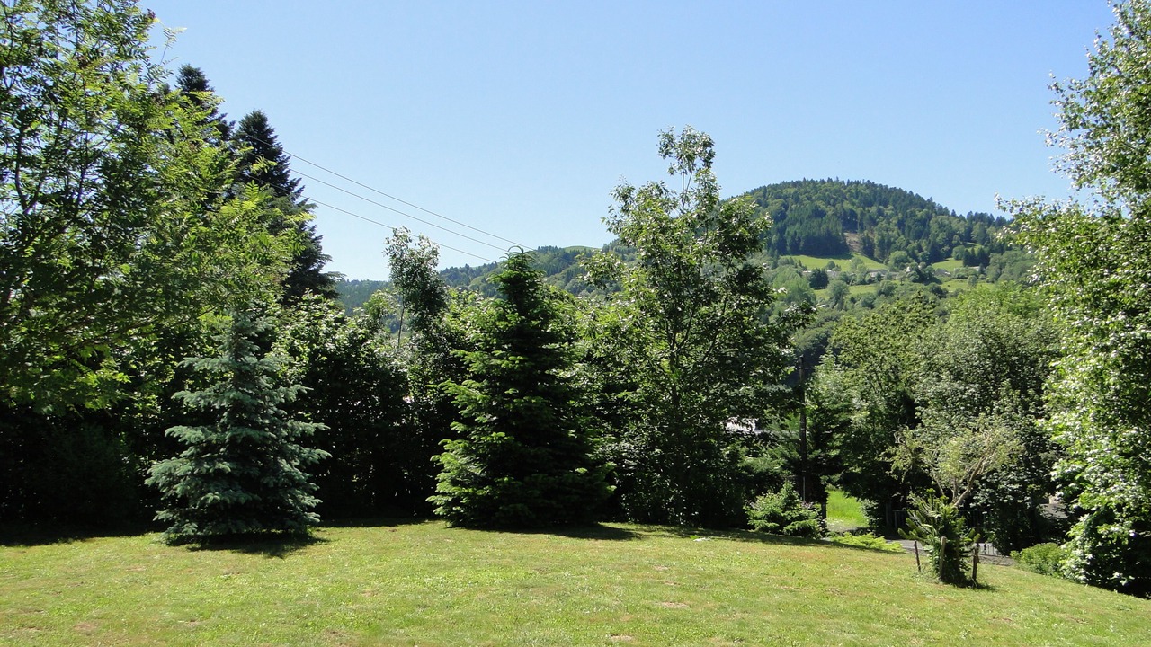 Photo of Outdoor in La Bourboule