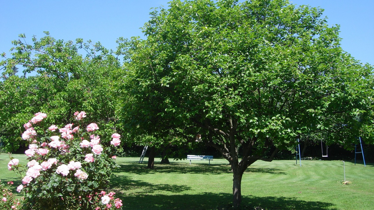 Photo of Outdoor in Lambesc