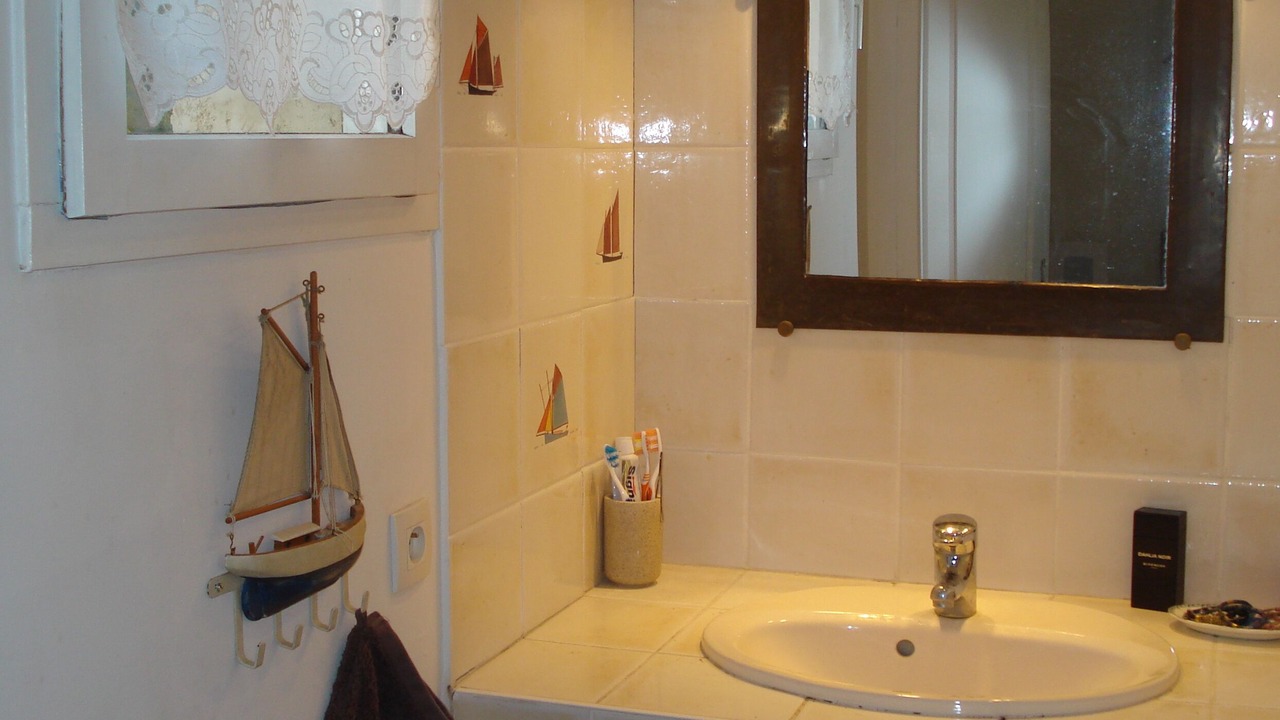 Photo of Bathroom in Salvizinet