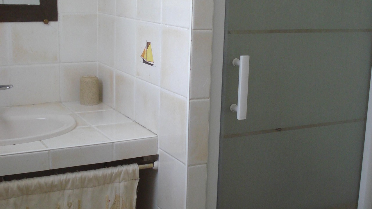 Photo of Bathroom in Salvizinet