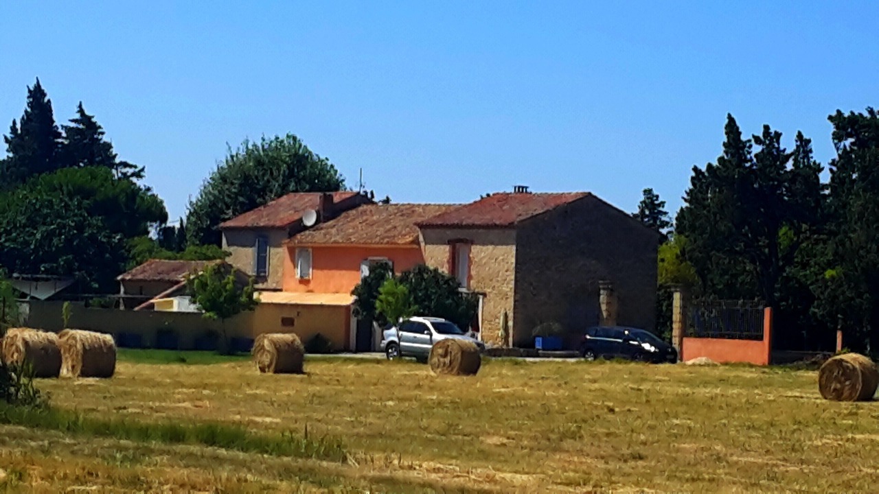 Photo of Outdoor in Monteux
