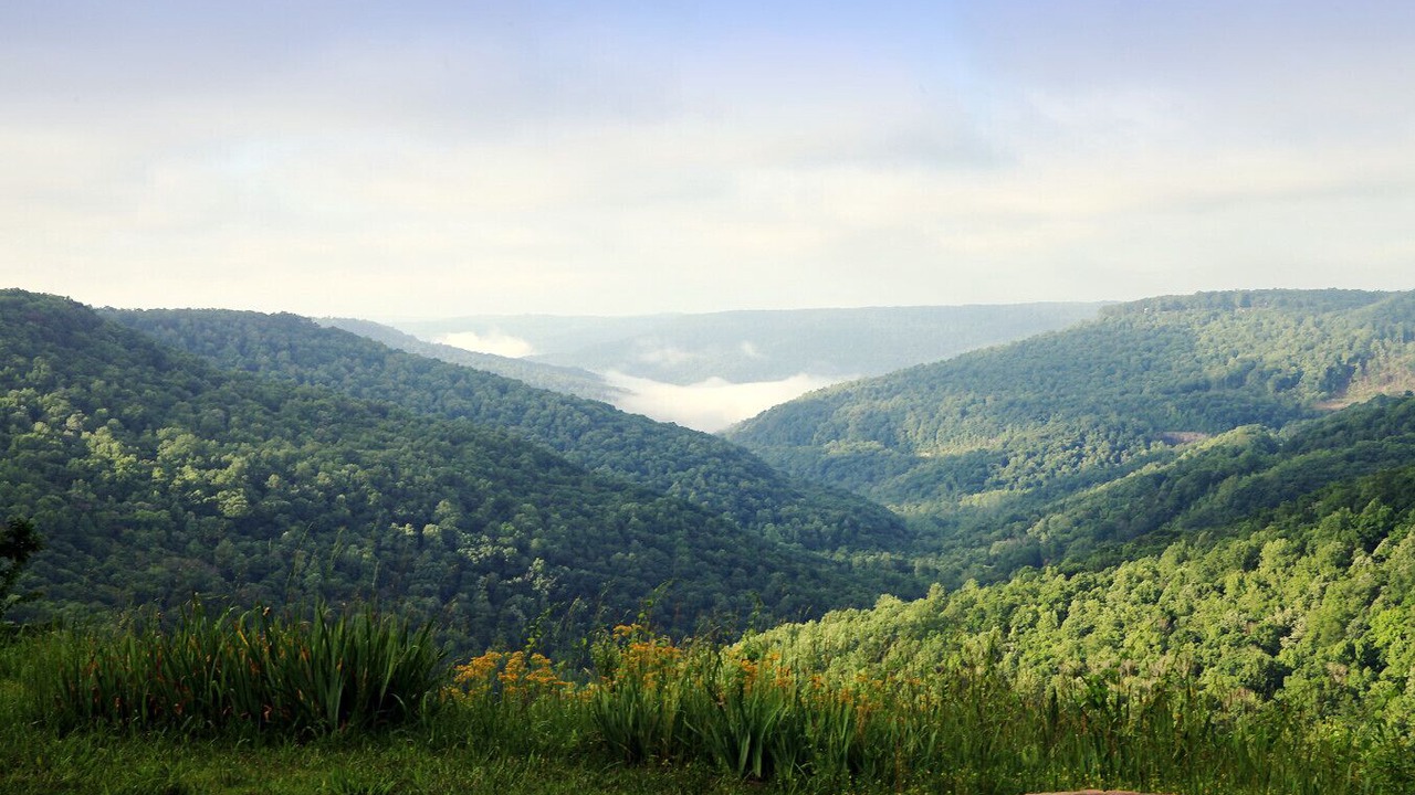 Photo of Others in Monteagle