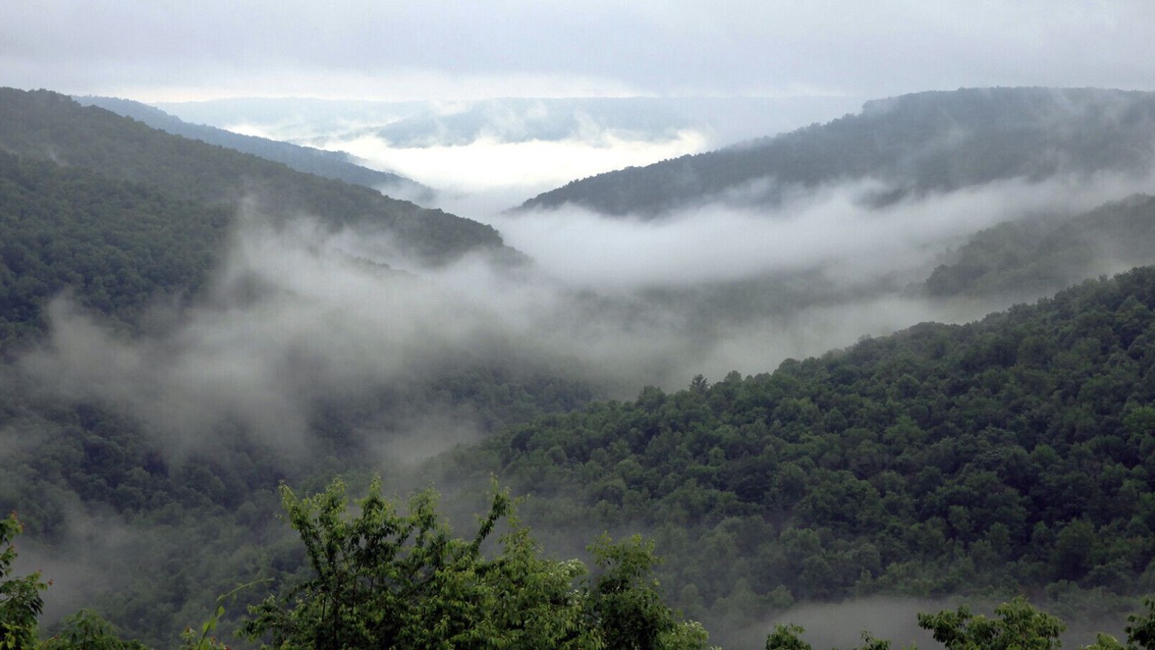 Photo of Others in Monteagle