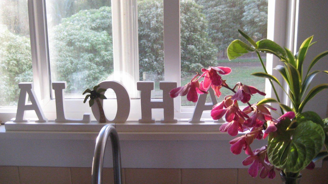 Photo of Others in Kilauea