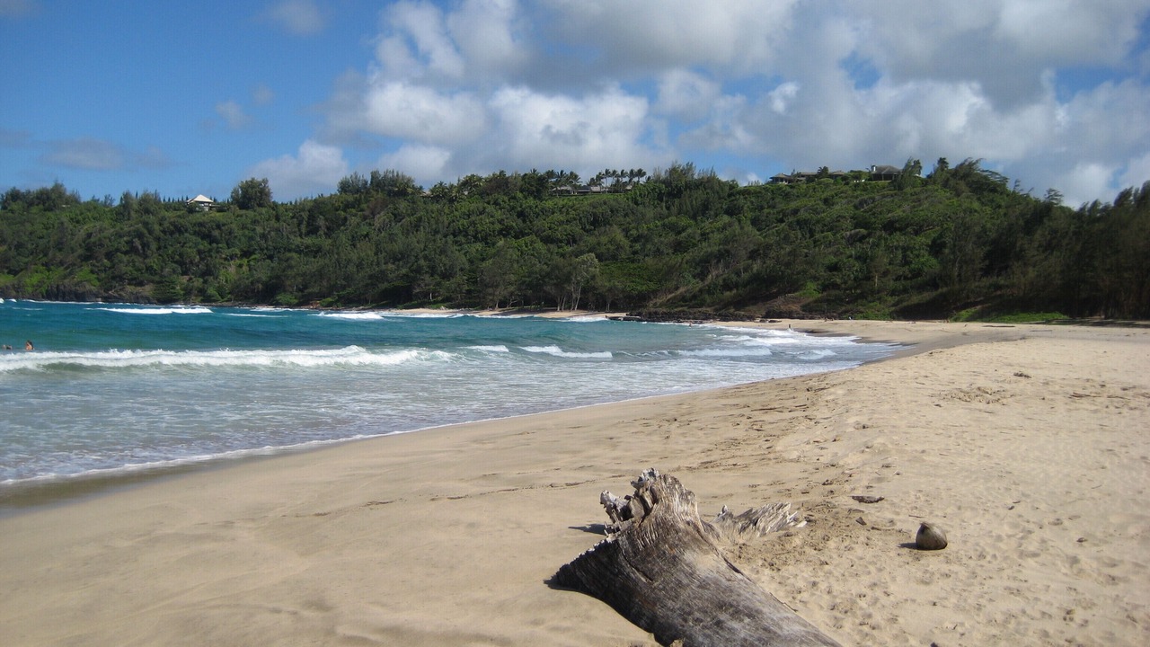 Photo of Others in Kilauea