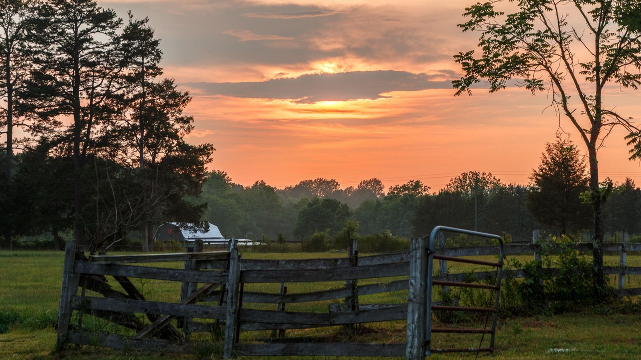 Photo of Outdoor in Patrick Henry