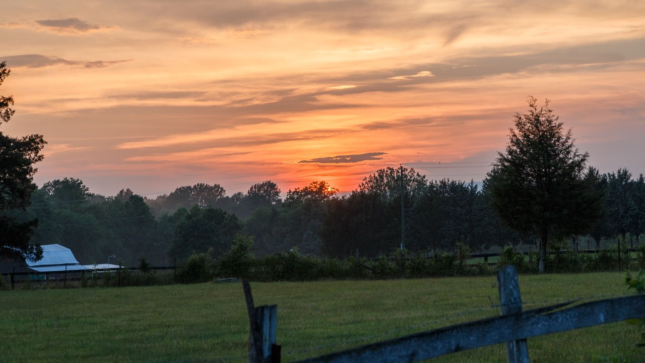 Photo of Outdoor in Patrick Henry
