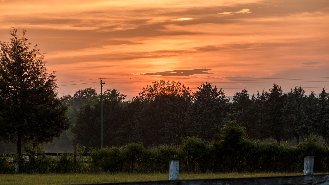 Photo of Outdoor in Patrick Henry