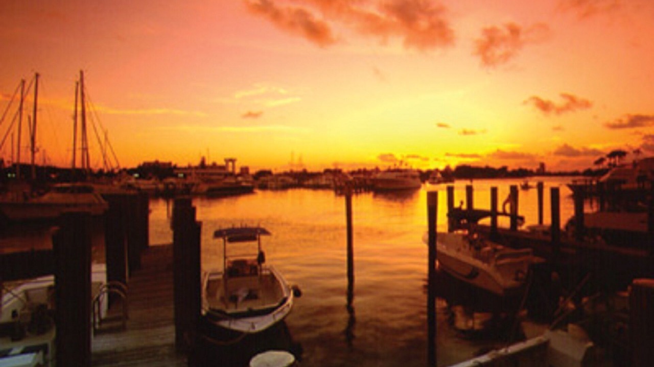 Photo of Others in Pompano Beach