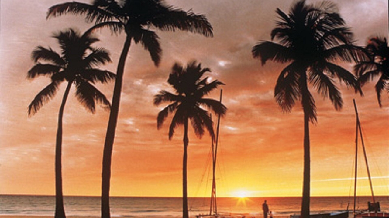 Photo of Others in Pompano Beach