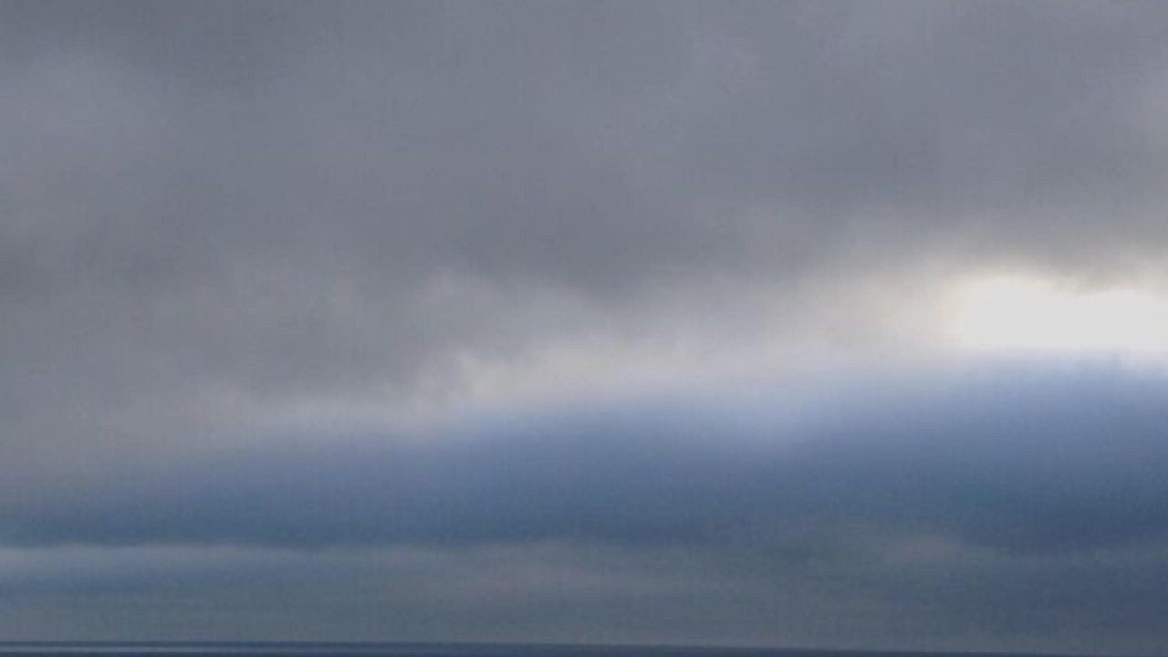 Photo of Others in Bolinas