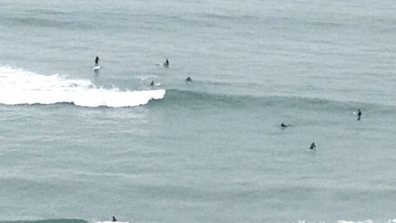 Photo of Outdoor in Bolinas