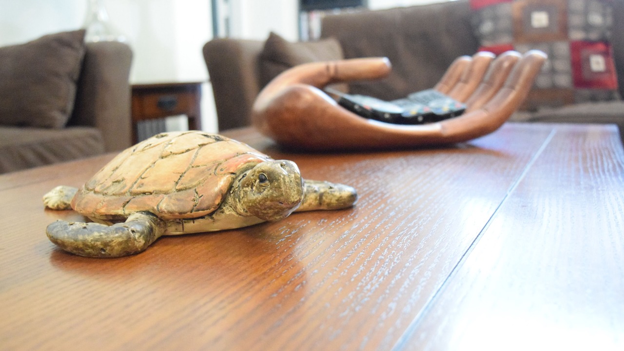 Photo of Others in Windsor Palms