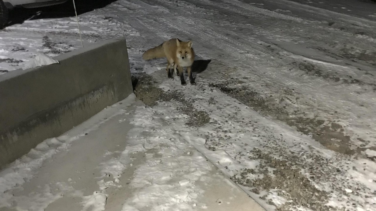 Photo of Others in Dubois