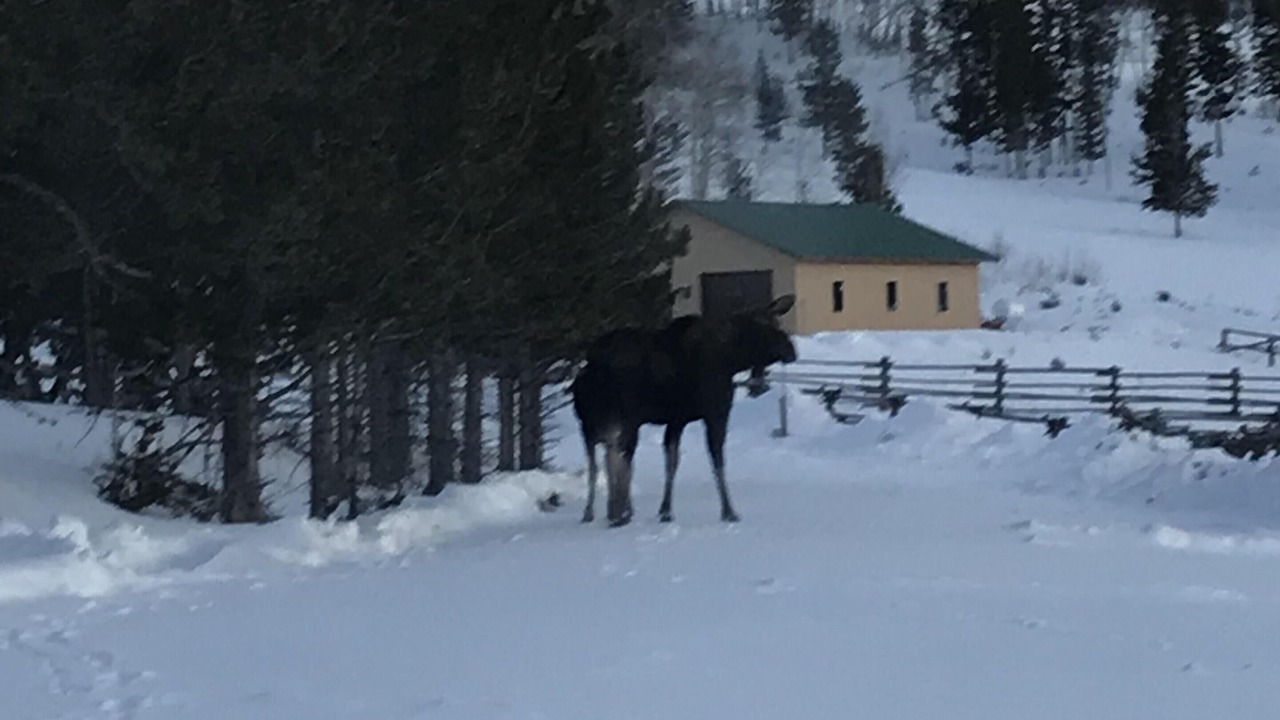 Photo of Others in Dubois