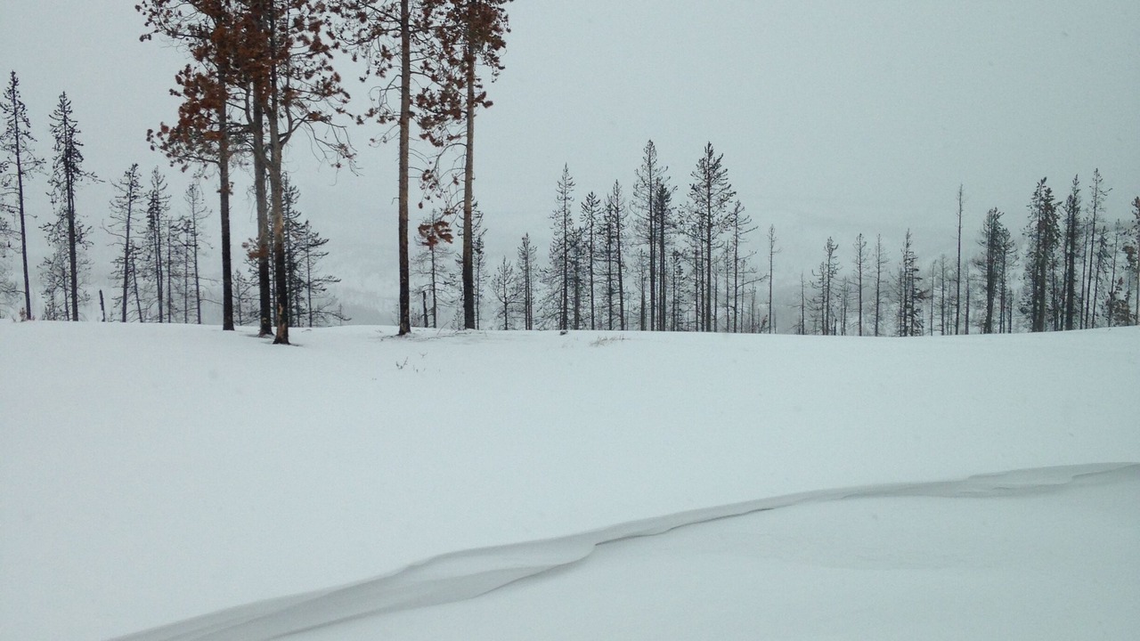 Photo of Others in Dubois