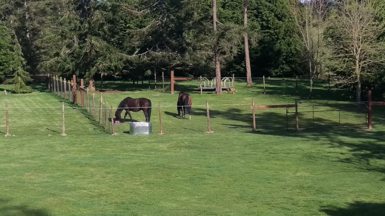 Photo of Others in Oak Harbor