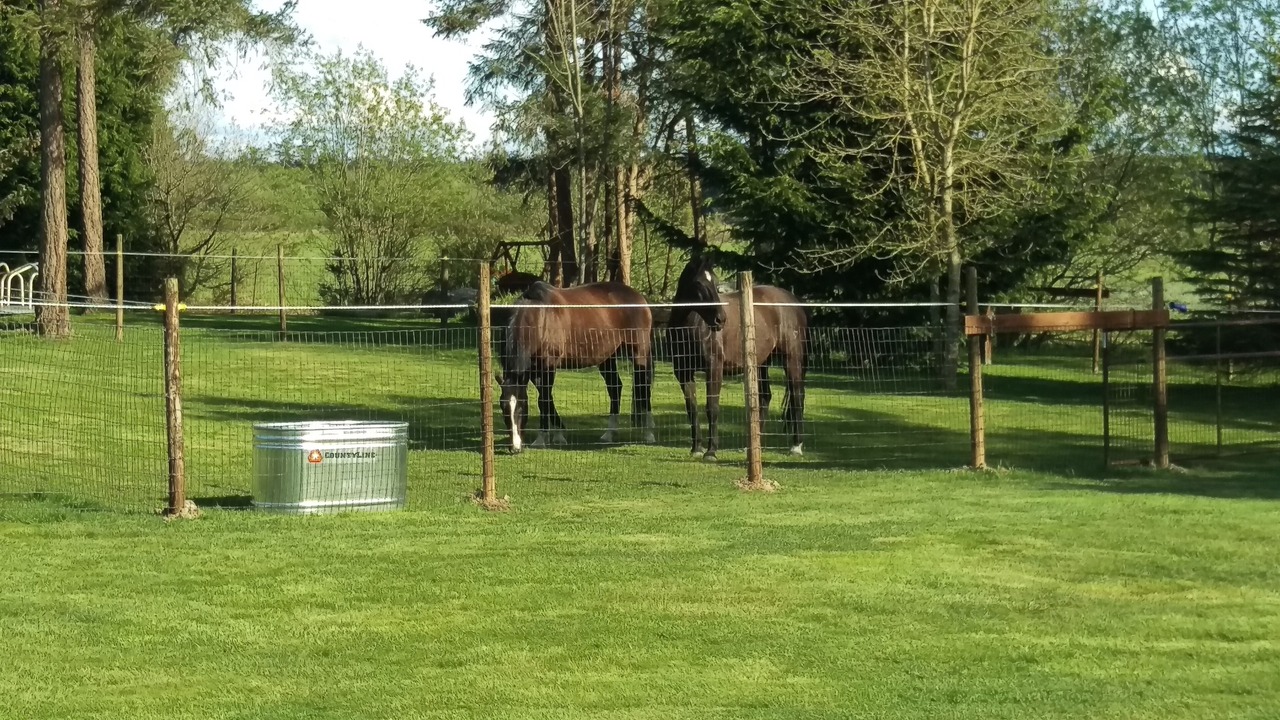 Photo of Outdoor in Oak Harbor