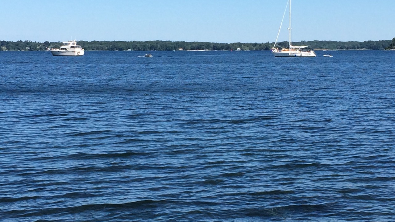 Photo of Others in Clayton