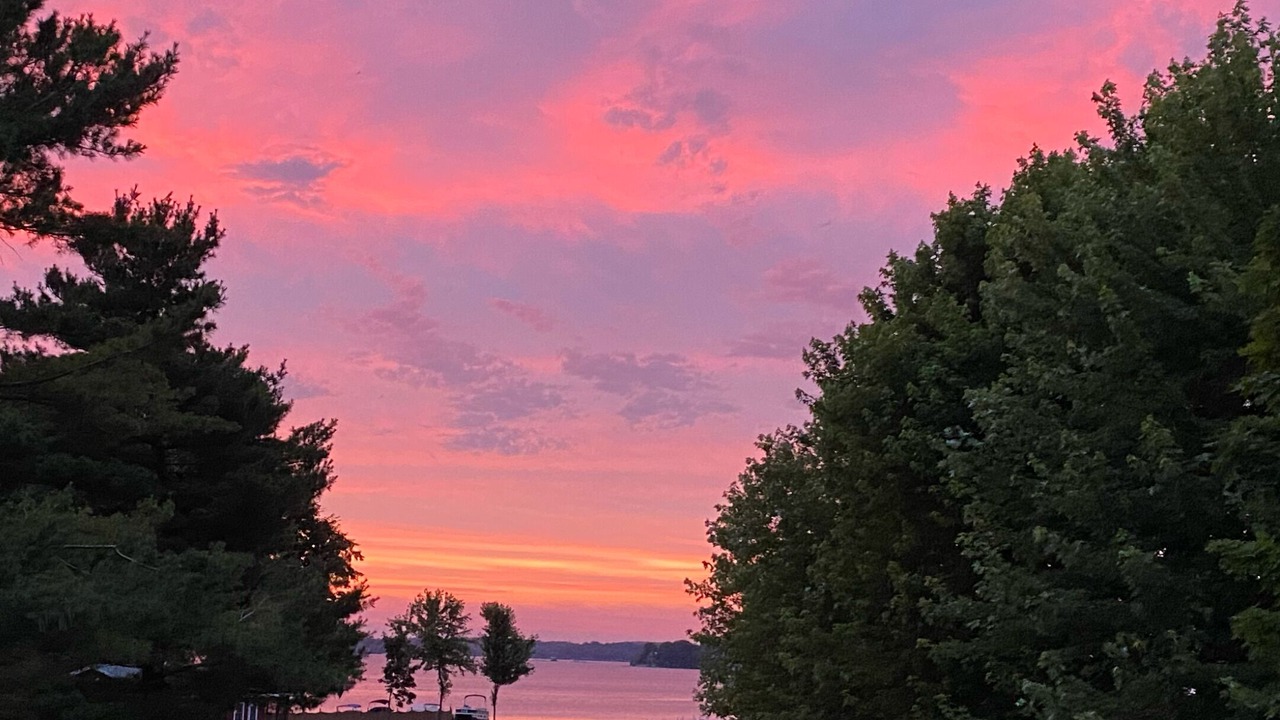 Photo of Others in Clayton