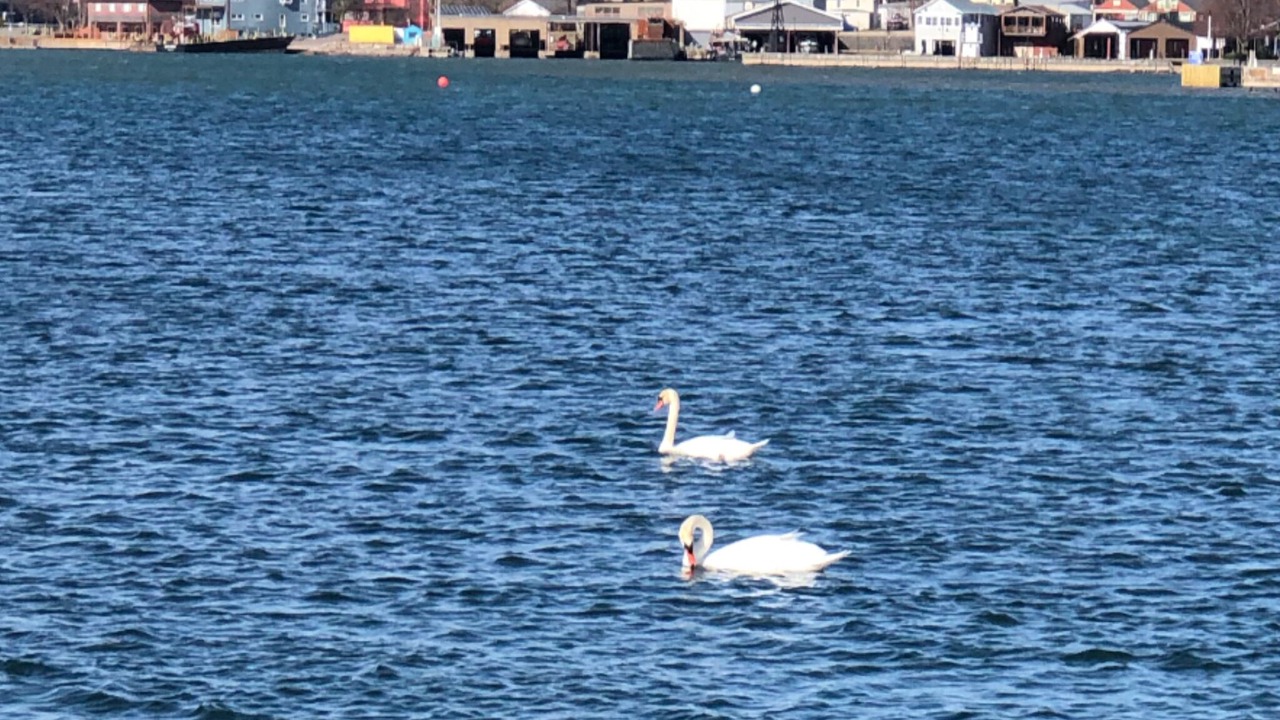 Photo of Others in Clayton