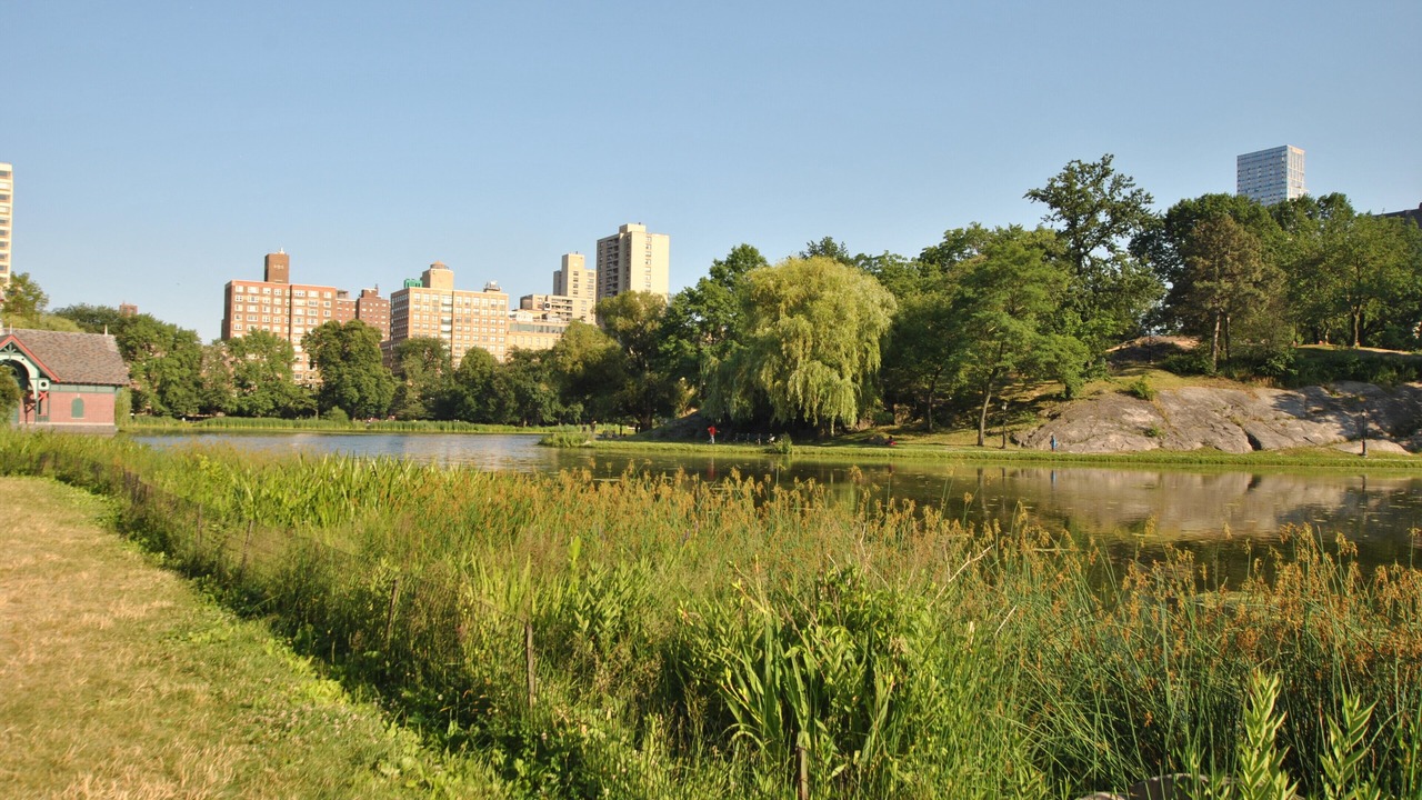 Photo of Others in Central Park North