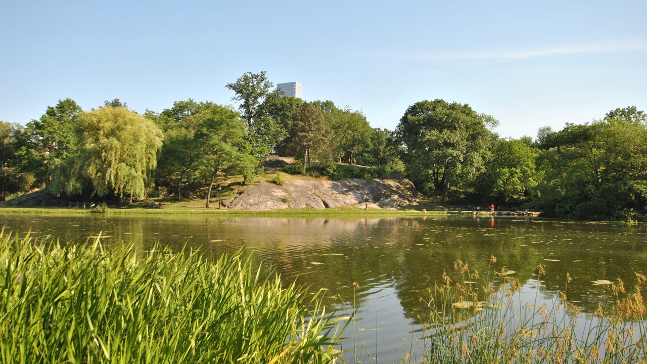 Photo of Others in Central Park North