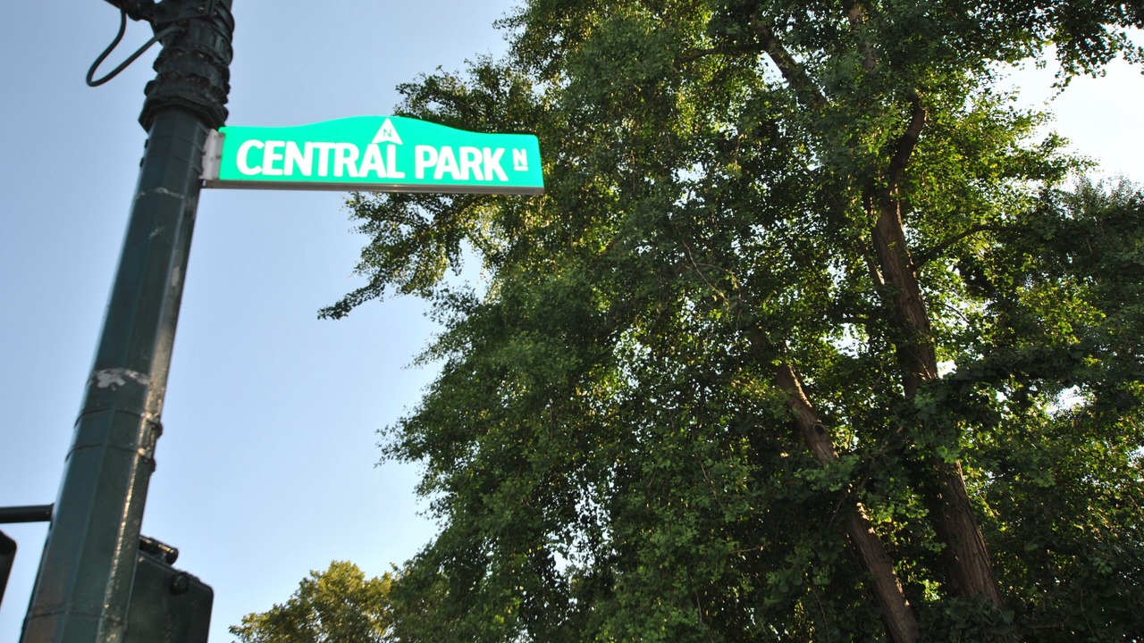 Photo of Others in Central Park North