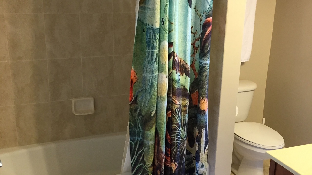 Photo of Bathroom in Vilano Beach