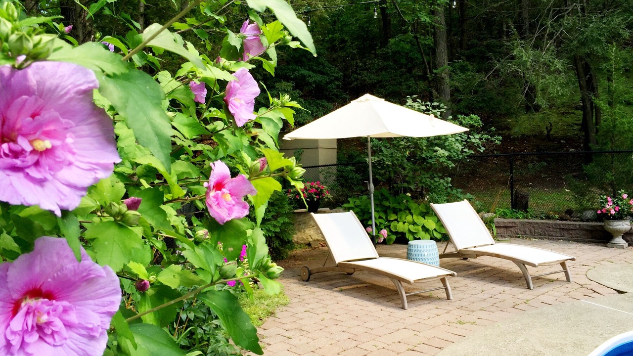 Photo of Others in Garrison