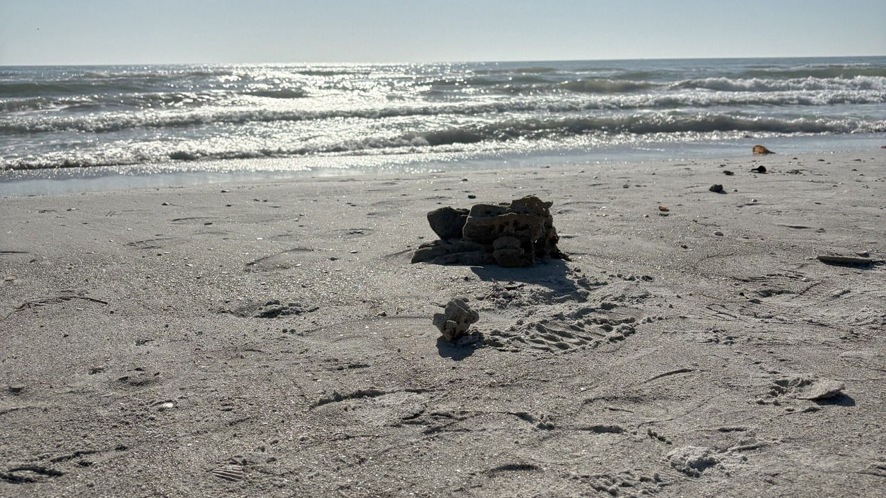 Photo of Others in Redington Beach