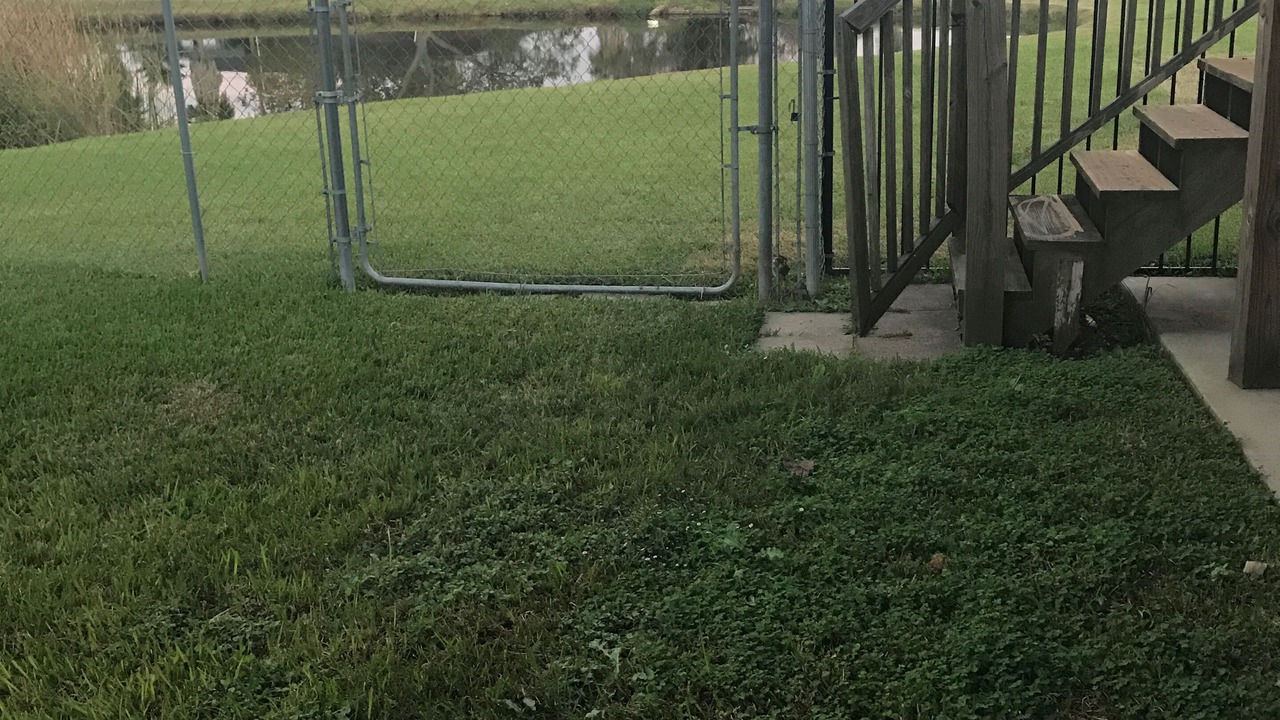 Photo of Outdoor in French Quarter