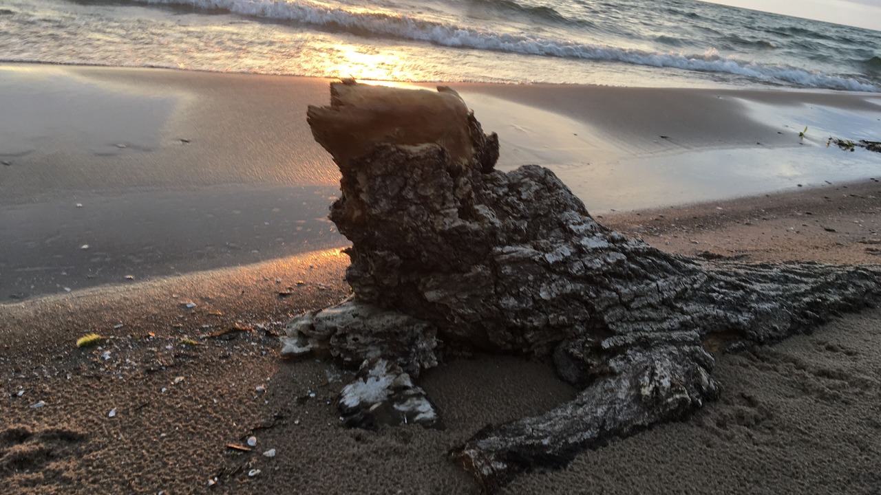 Photo of Others in Pulaski