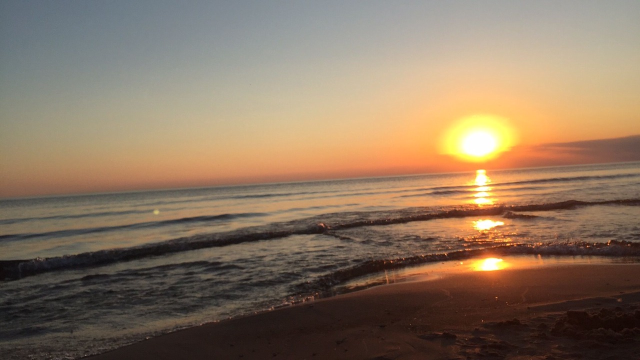 Photo of Others in Pulaski