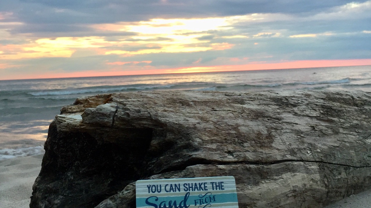 Photo of Others in Pulaski