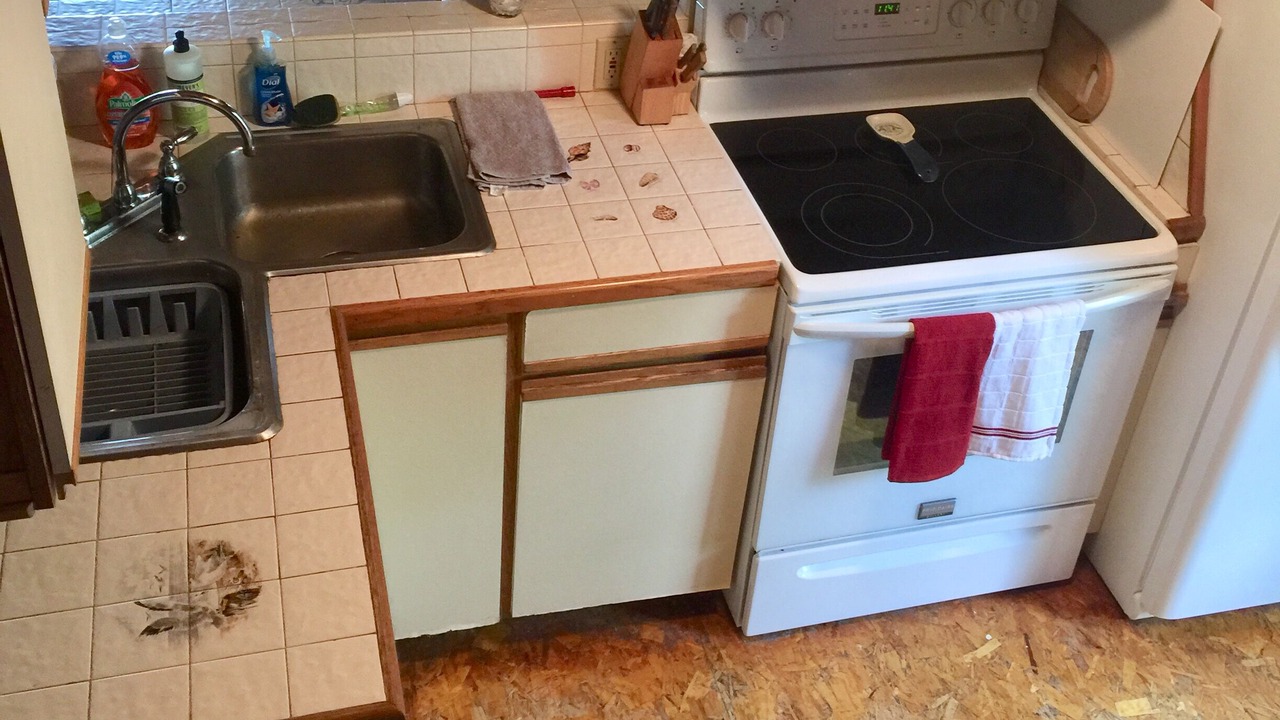 Photo of Others in Pulaski