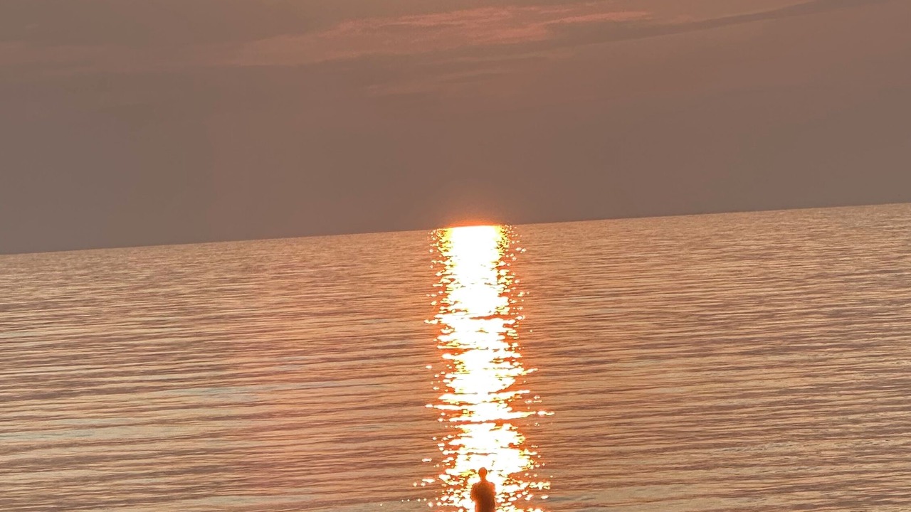 Photo of Others in Pulaski